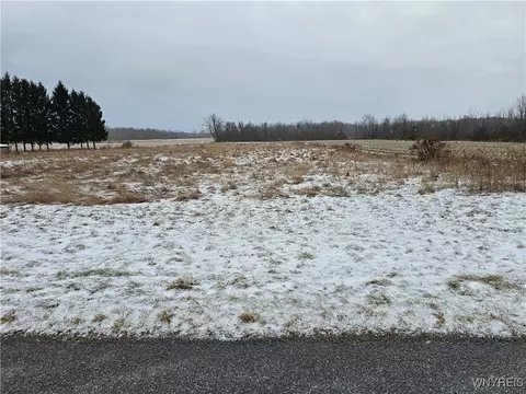 Steiner Road, Newstead, NY 14001