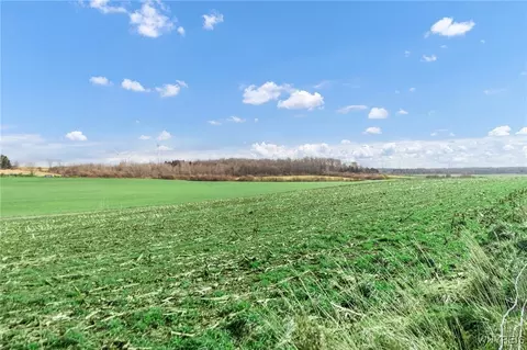 2460 Route 78, Java, NY 14113 photo 46