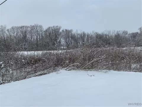 10319 Mill Rd, Ridgeway, NY 14103 photo 6