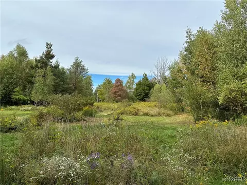 1333 Cain Rd, Brant, NY 14006