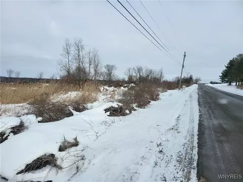 75 Acres Stinson Rd, Arcade, NY 14009 photo 7