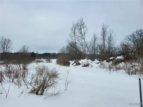 75 Acres Stinson Rd, Arcade, NY 14009 photo 9