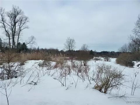 75 Acres Stinson Rd, Arcade, NY 14009 photo 5