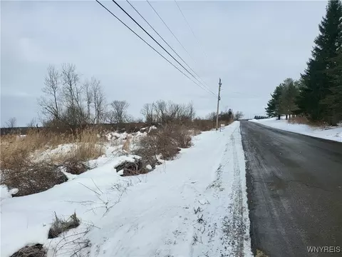 75 Acres Stinson Rd, Arcade, NY 14009 photo 6