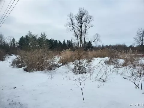 75 Acres Stinson Rd, Arcade, NY 14009
