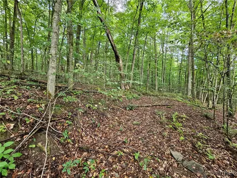 Dublin Terrace Road, Mansfield, NY 14779