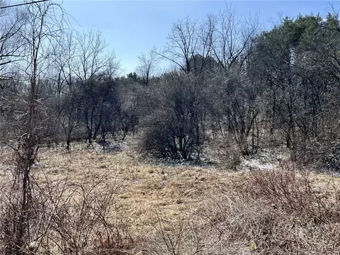 0 W Seneca Lot 2 Rd, Hector, NY 14886