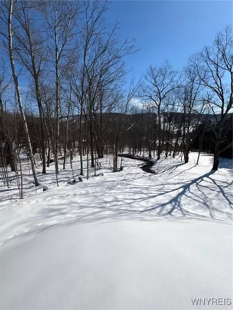 6887 Niles Rd, Ellicottville, NY 14731
