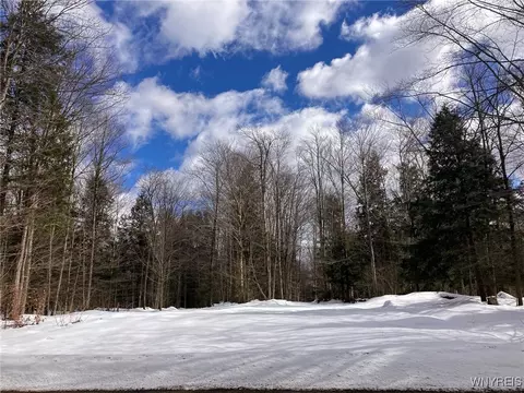 Zimmerman Road, Boston, NY 14025