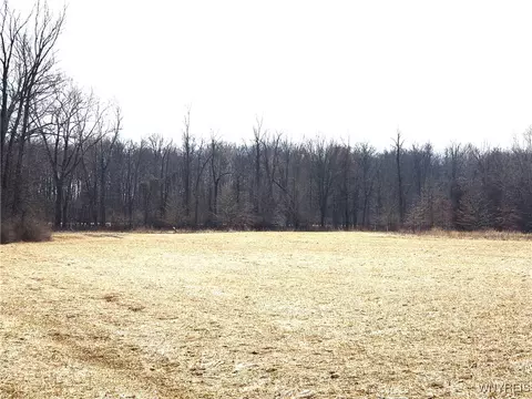 Vl Dale Rd. Dale Road, Royalton, NY 14067