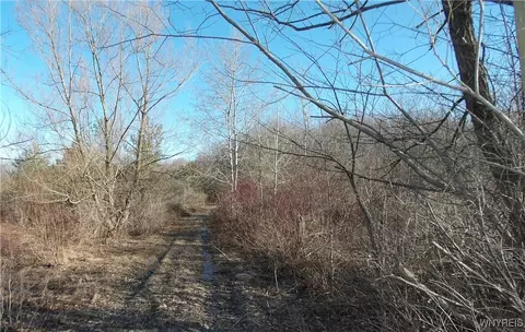 Shirley Road, North Collins, NY 14111