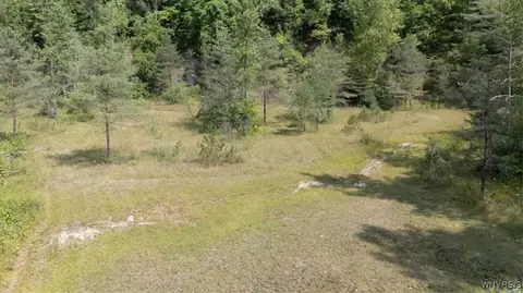 Vl 20.2, Colden, NY 14033