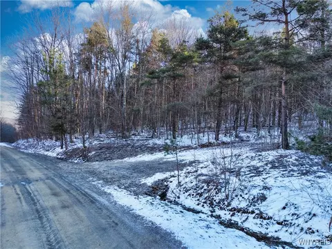 10 11 Creek Ridge Rd, Ellicottville, NY 14731