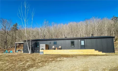 8147 Bailey Hill Rd, East Otto, NY 14729
