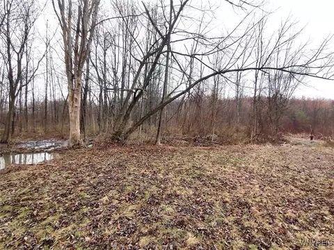 Gowans Road, Evans, NY 14006 photo 6