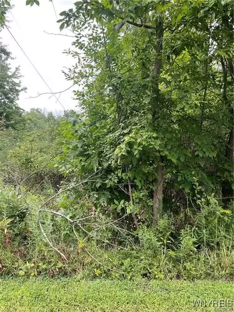 Monroe Avenue, Evans, NY 14006