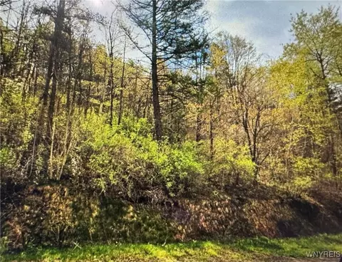 Skyline Drive, Machias, NY 14042
