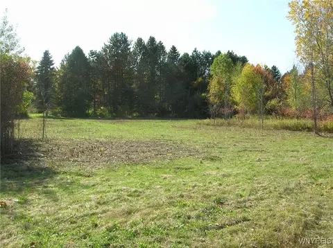 13633 Carney, Newstead, NY 14001