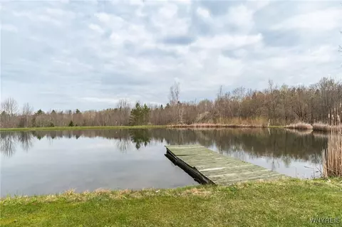 1991 Thomas Rd, Sheldon, NY 14167 photo 30