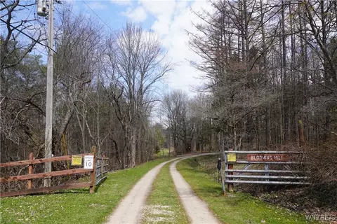 0 Vl Blooming Hill Dr #LOT 731, Freedom, NY 14065