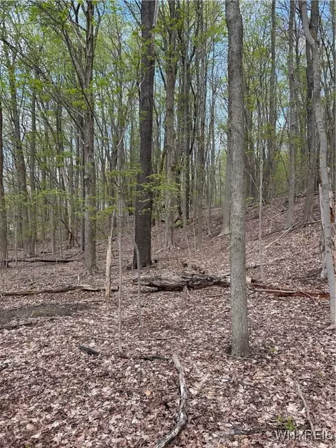 State Road, Colden, NY 14033 photo 9