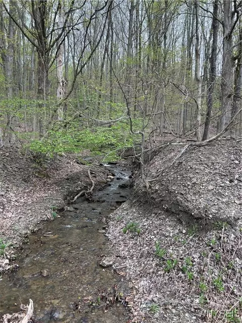 State Road, Colden, NY 14033 photo 3