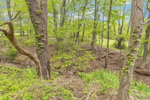 Other - 178 Behm Rd, Aurora, NY 14170 photo 9 of 9