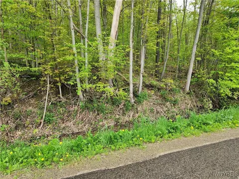 Utley Road, East Otto, NY 14729
