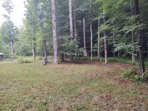 449 Wood Rd, Harpersfield, NY 12093