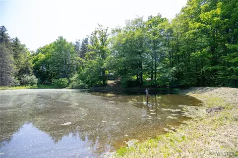 2491 Wethersfield Rd, Java, NY 14113 photo 32