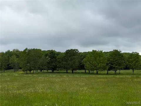 Vl Davis Road, Aurora, NY 14052