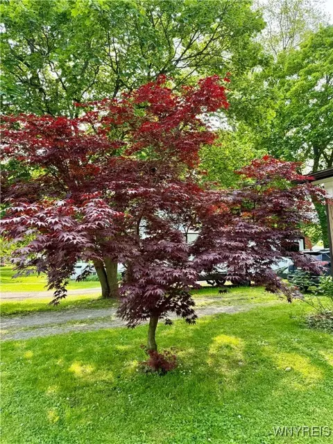 Other - 38 E Main St, Pembroke, NY 14036 photo 1 of 5