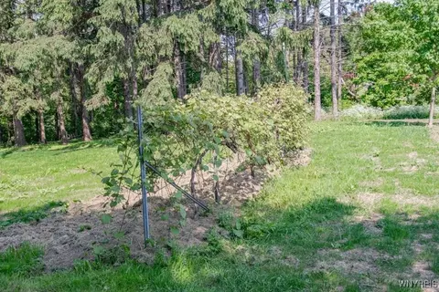 Other - 7113 Lagrange Rd, Perry, NY 14530 photo 6 of 7