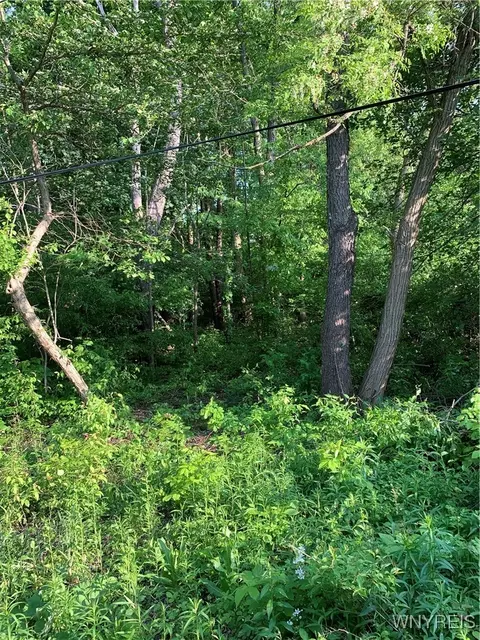 715 Monroe Ave, Evans, NY 14006