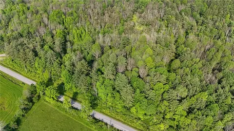 00 Lamont Rd, Angelica, NY 14709
