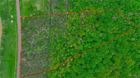 Vl Maples Road, Mansfield, NY 14755