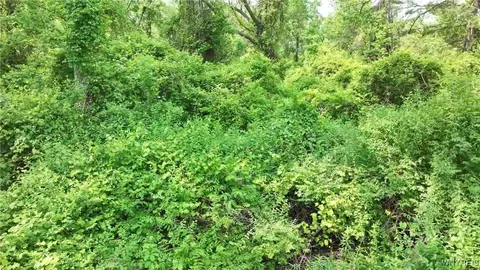 0 Drew Rd, Ithaca-town, NY 14850 photo 5