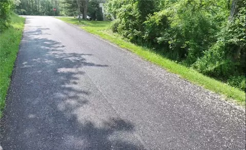 0 Drew Rd, Ithaca-town, NY 14850 photo 2