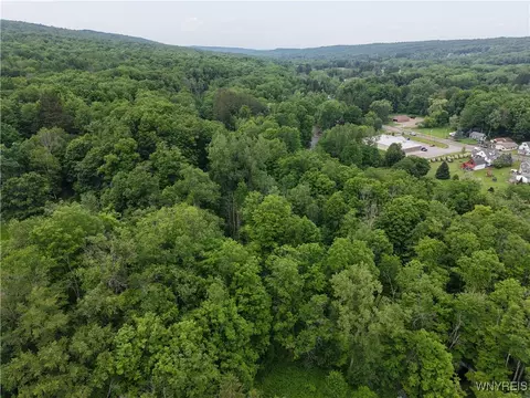8762 Lower East Hill Rd, Colden, NY 14033