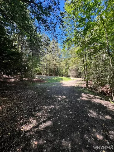 11256 Blanchard Rd, Holland, NY 14080