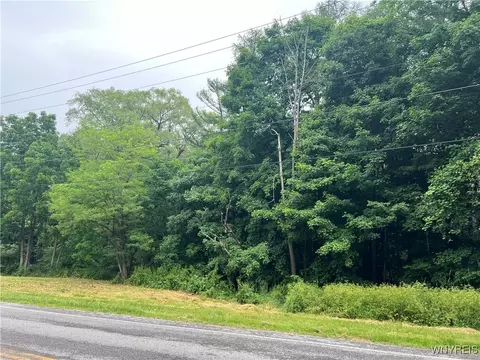 Park Road W, Castile, NY 14427