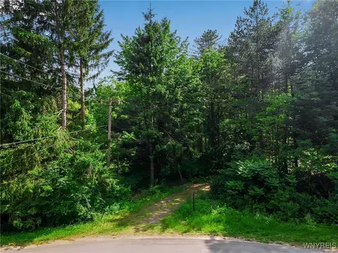11665 Carpenter Rd, Wales, NY 14169