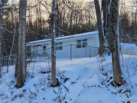 8905 W Bucktooth Run Rd, Little Valley, NY 14755