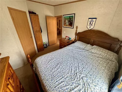 3023 Springview Dr, Newfane, NY 14108 photo 19