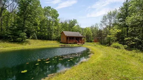 8911 Hoyett Rd, Clarksville, NY 14727