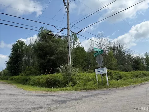 10103 S Hill Rd, Concord, NY 14141