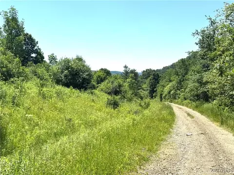 Gile Hollow Road, Hinsdale, NY 14743