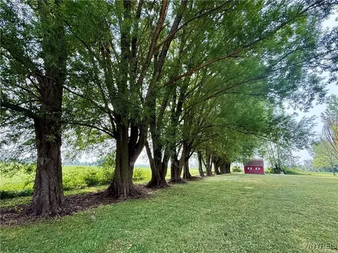 13892 Root Rd, Barre, NY 14411 photo 34