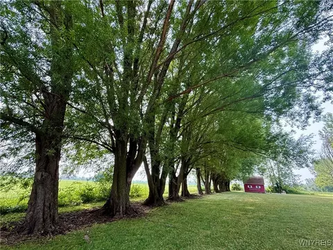 13892 Root Rd, Barre, NY 14411 photo 3