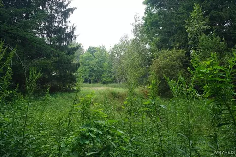 12243 Sharp St, Concord, NY 14141 photo 4